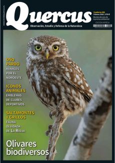 OLIVARES BIODIVERSOS